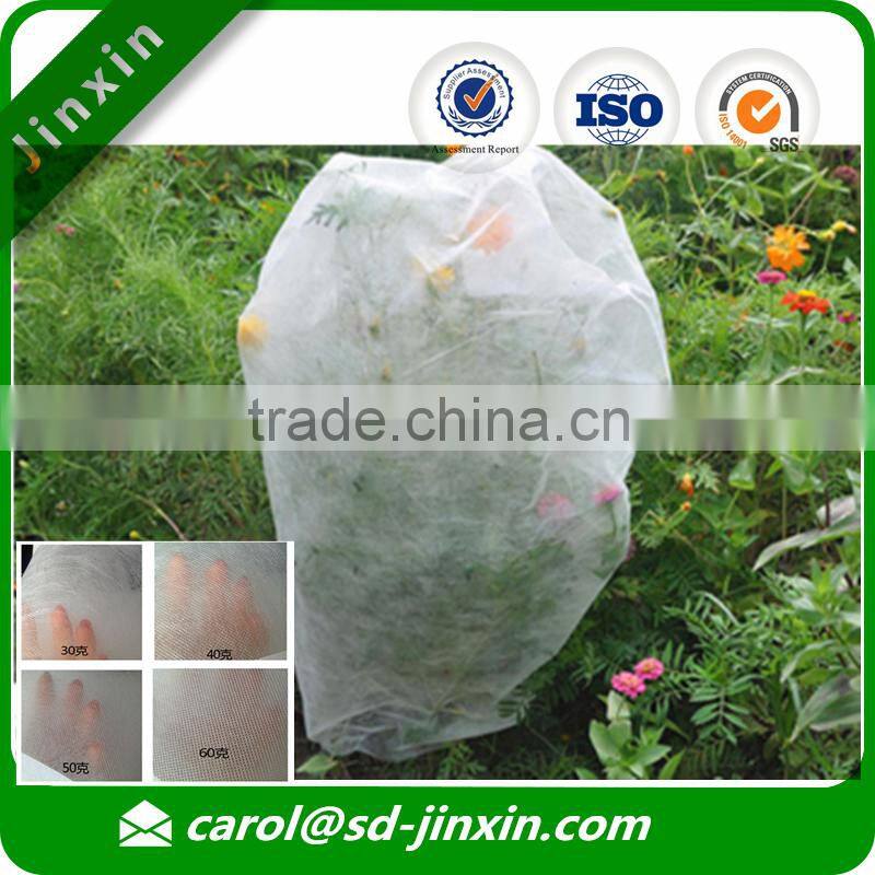 Breathable Fruit Tree Covers of Low Price Fabric Roll Raw Material