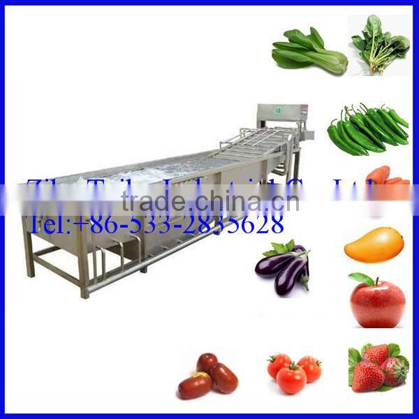 Stainless Steel tomato Washer Machine Price