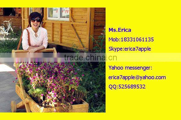 plastic insect window screen