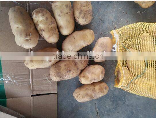 Fresh potato