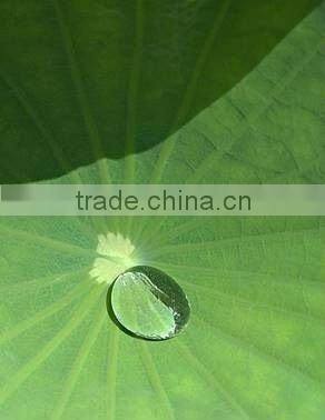 Water Repellent Dust Repellnet Self Cleaning Coating