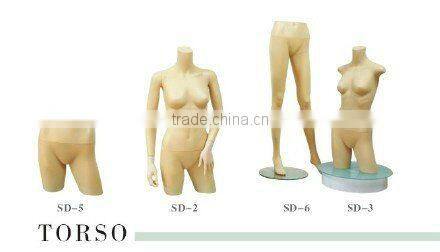 Environmentally Friendly and Recyclable half body model Torso