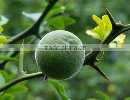 Neohesperidin 95% Low price