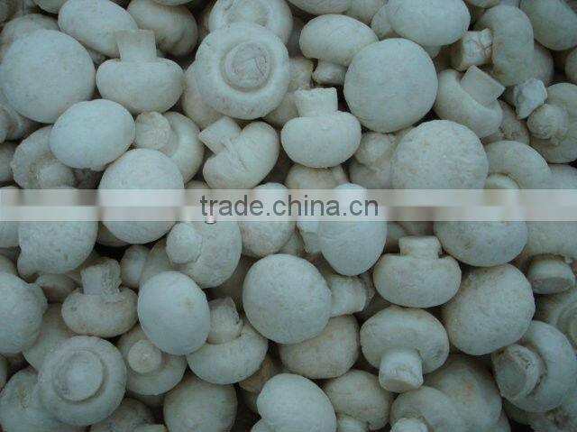 frozen mushrooms