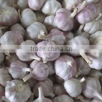 good brand buy potatoes online