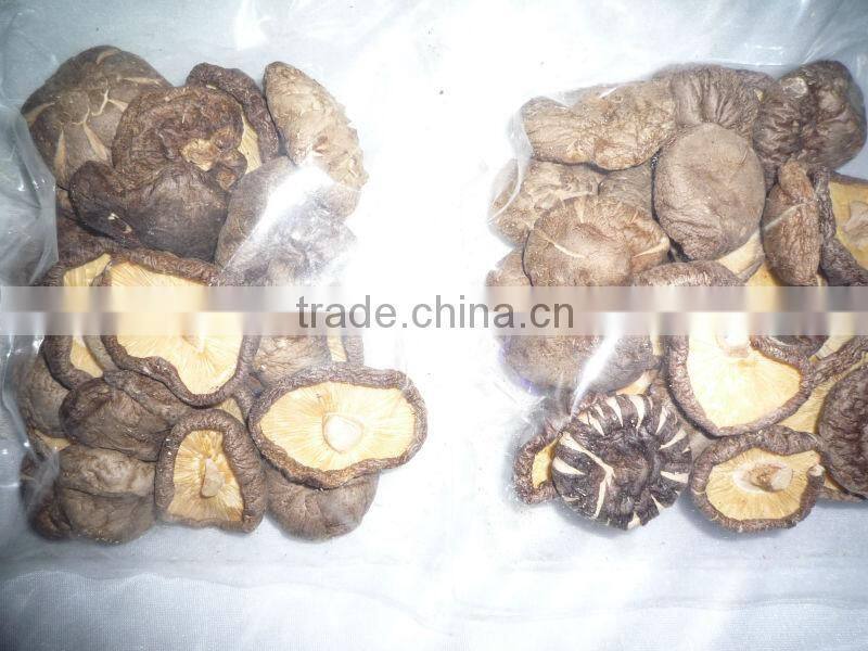 Chinese new crop driedshiitake mushroom flake