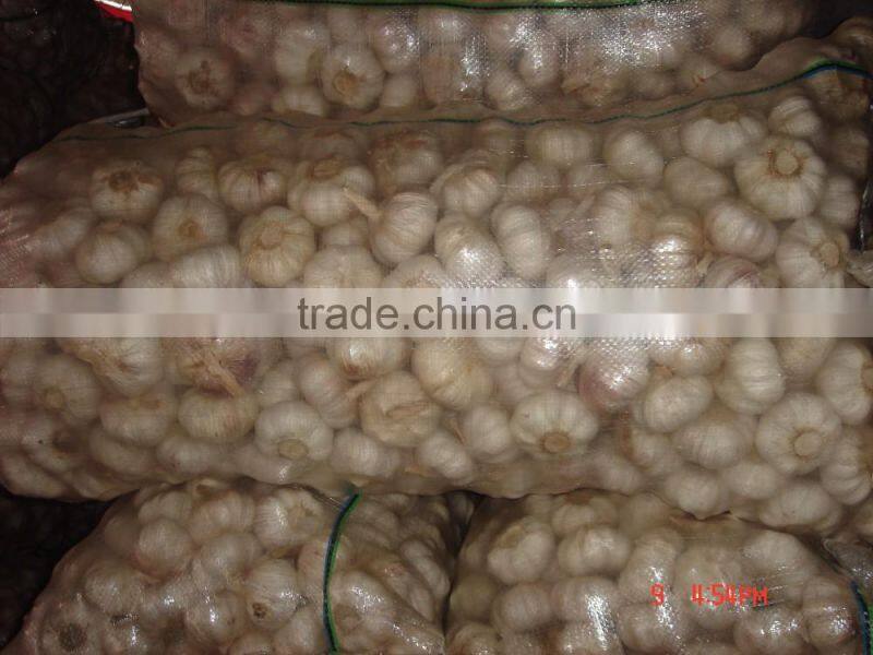 YUYUAN brand hot sail fresh garlic aged garlic extract
