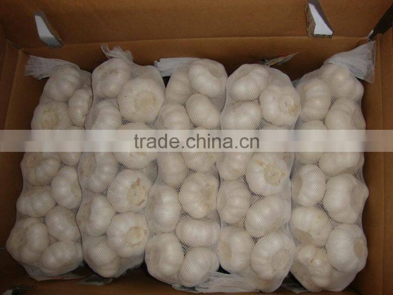 YUYUAN brand hot sail fresh garlic aged garlic extract