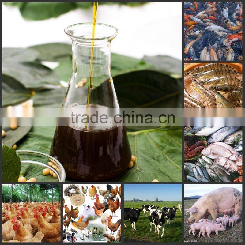 oil soluble soya lecithin liquid apply in feed additives
