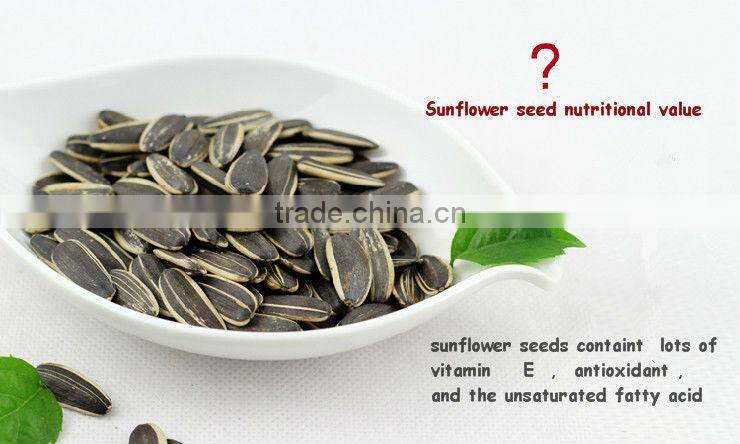 Bulk New Crop Striped Common American Sunflower Seeds