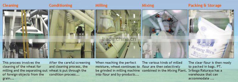 corn seed storage silo bins