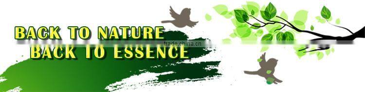 Plant Root Rapid Growing Liquid Fertilizer