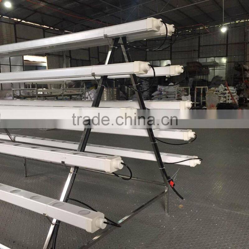 Greenhouse Vertical Hydroponic Systems