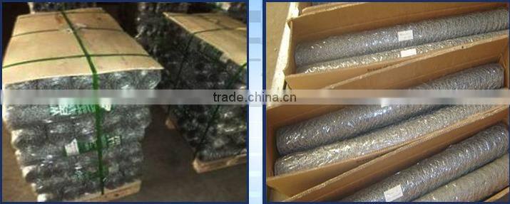 PVC coated hexagonal wire mesh / wiremesh panel / hexagonal wiremesh fencing
