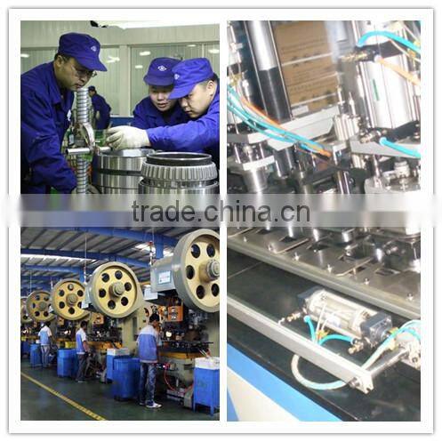 needle roller bearing K45 45x50x17(49241/45)