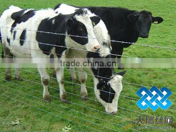 galvanized iron grassland fence / galvanzied grassland fence / cattle fence