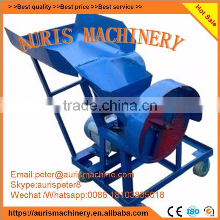 Popular cassava chip root peeler machine