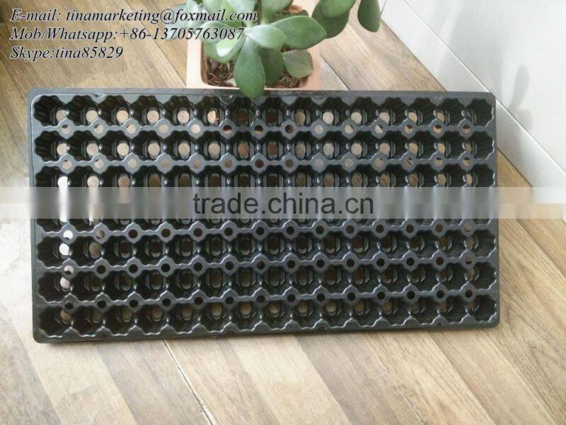 Growing Vegetable Transplants in Plug Seed Nursery Trays 8 Cell