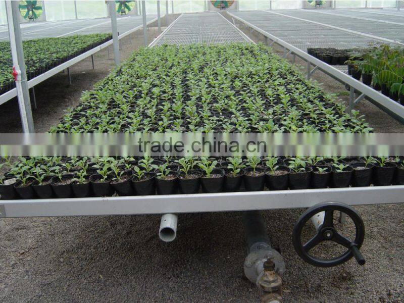 movable beach system for flowers