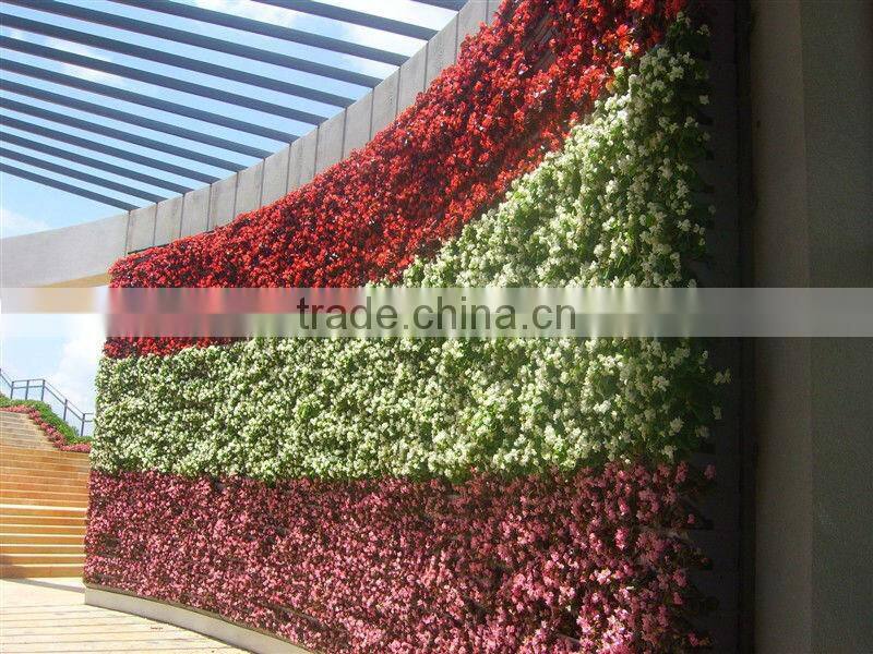 Alibaba China supplier Self watering hydroponic grow systems vertical Green Wall Gardening pots sol y206