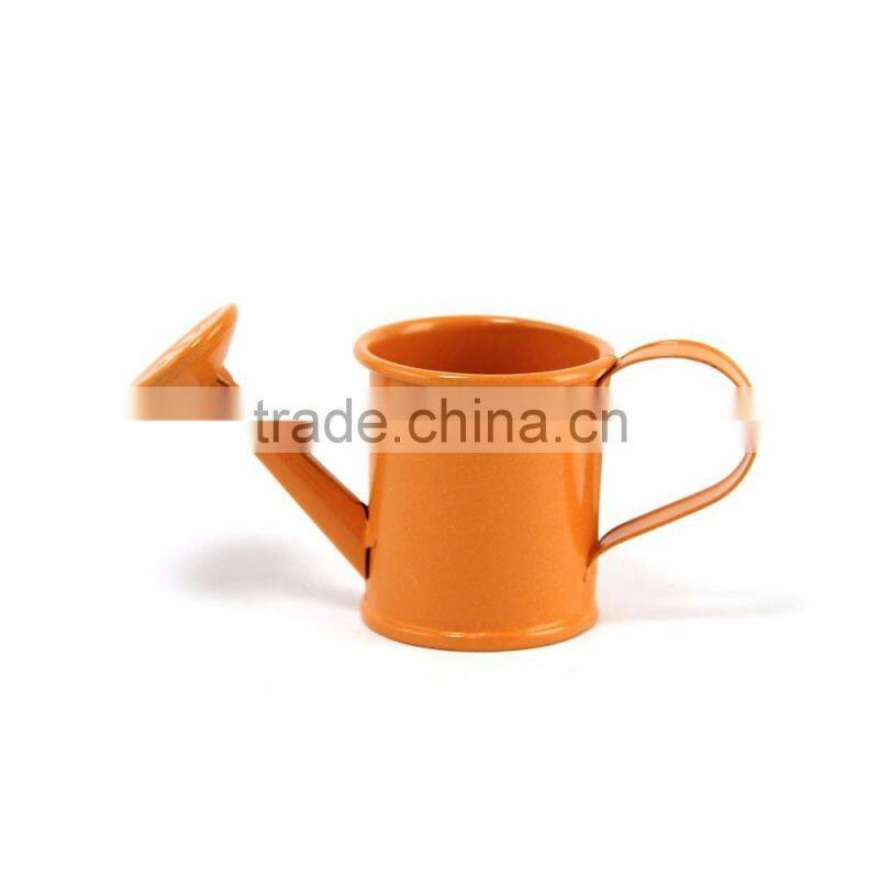 Mini Metal Watering Cans Wedding Party Gift Garden Tools