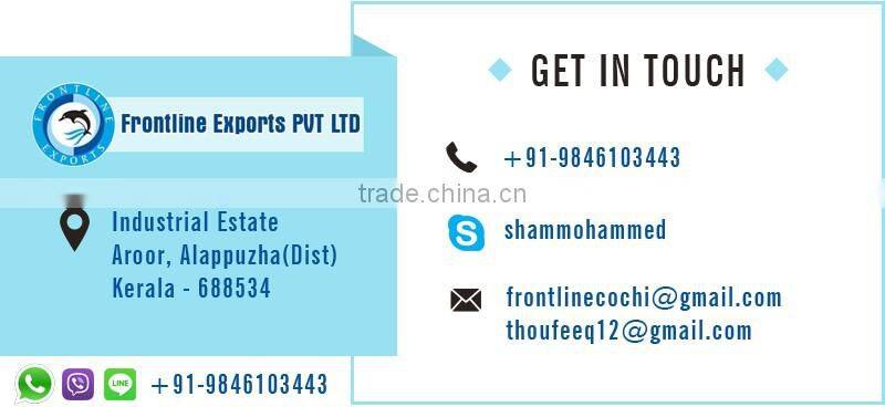 100% Fresh and Soft Best Quality Frozen Shrimps