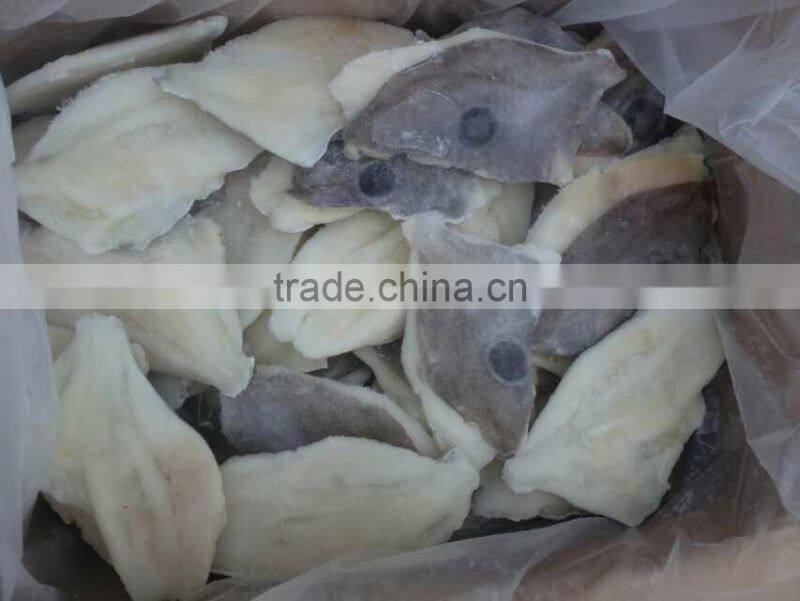 frozen seafood john dory fillet skin on