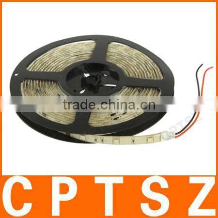 Epoxy Waterproof Green Decoration LED 3528 SMD Rope Light, 120 LED/M, Length: 5M