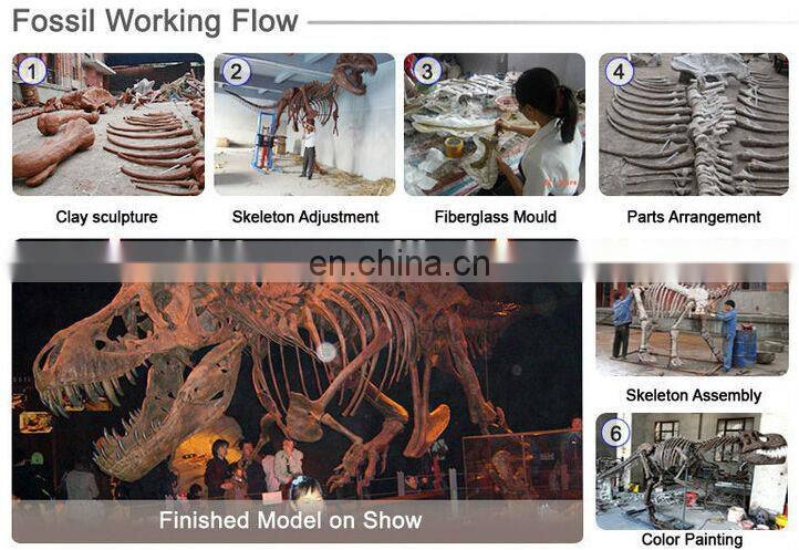 2016 life size realistic t-rex dinosaur skeleton model for sale