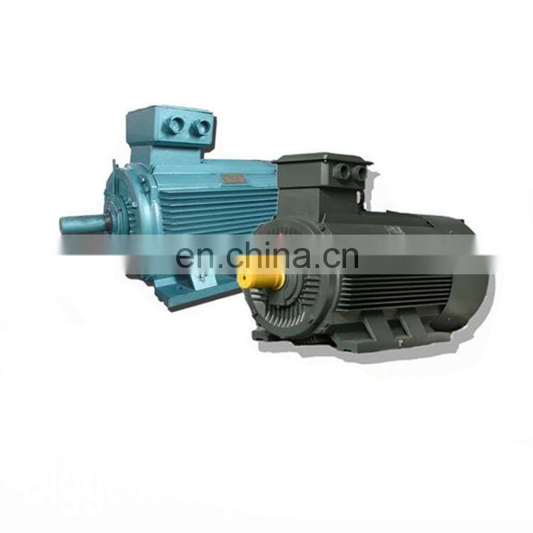 y3 series three phase slow speed electric motor