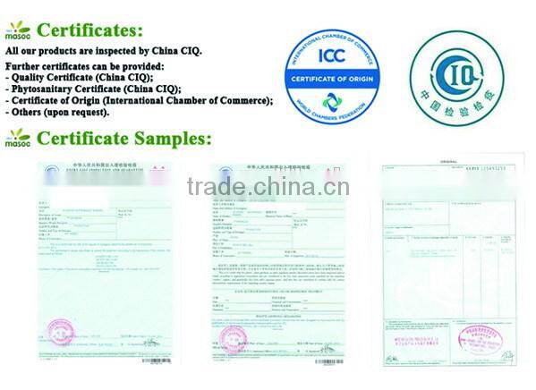 wholesale panko bread crumbs, japanese best price bread crumbs