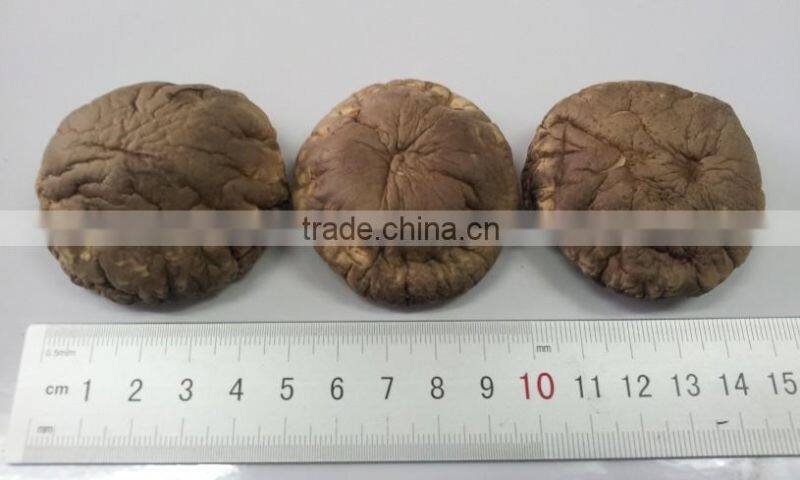 Polish Wild Dried Mushrooms