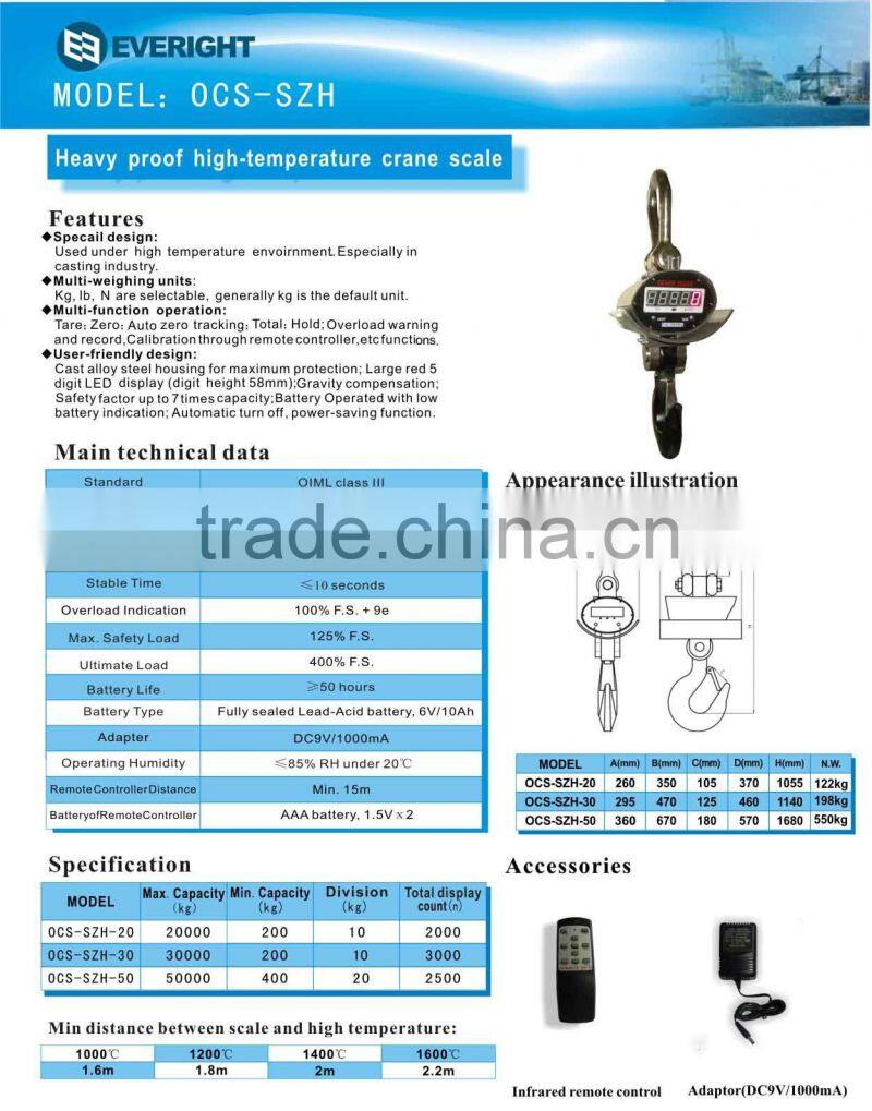 electronic crane scale