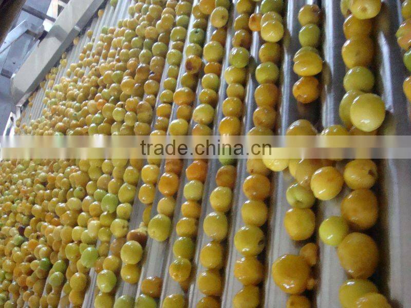 apricot puree concentrate