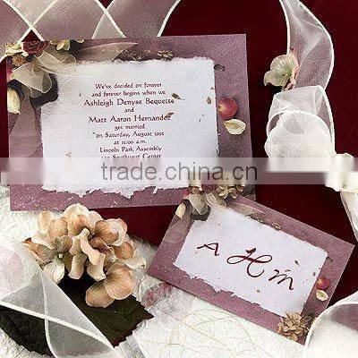 2011 popular & unique wedding card