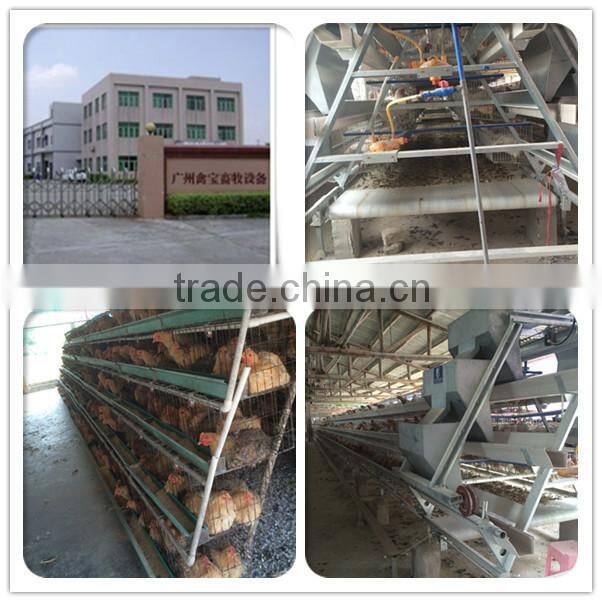 plastic incubator egg tray plastic egg trays cheap plastic serving trays