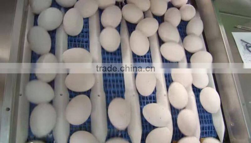 FARM FRESH CHICKEN TABLE EGGS, BROWN SHELL CHICKEN EGGS,WHITE SHELL CHICKEN EGGS