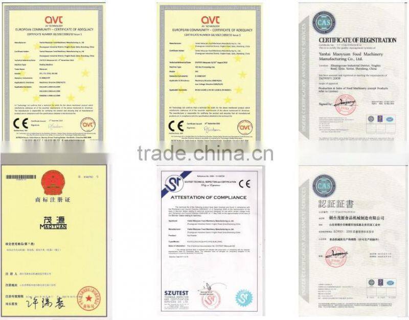 High quality blanched peanut kernel production line with CE,ISO9001