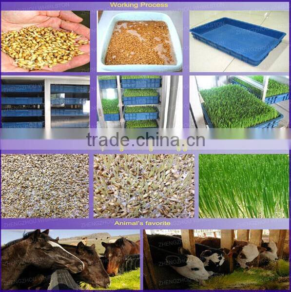 WHIR Saudi Arabia with SASO certificate hydroponic hydroponics cultivation for growing fodder grass,barley,wheat
