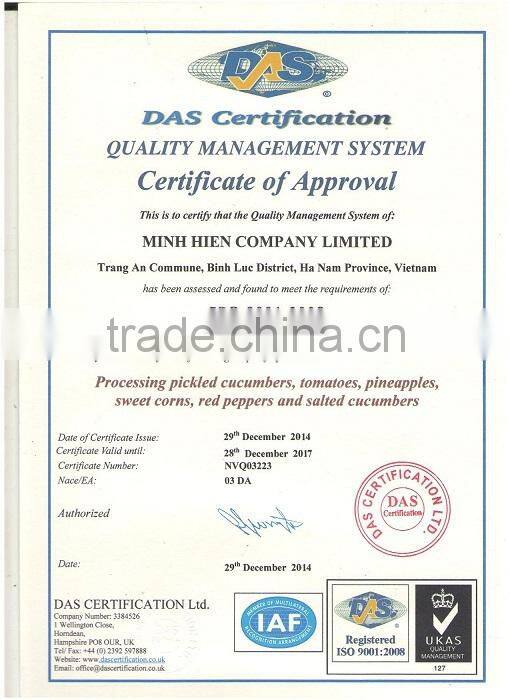 Mixed cherry tomatoes and cucumber 3-6 cm in 720ml jars