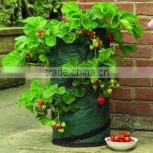 8 Pocket Strawberry Planter Bag,Strawberry Growing Planting Bag,Strawberry Planter