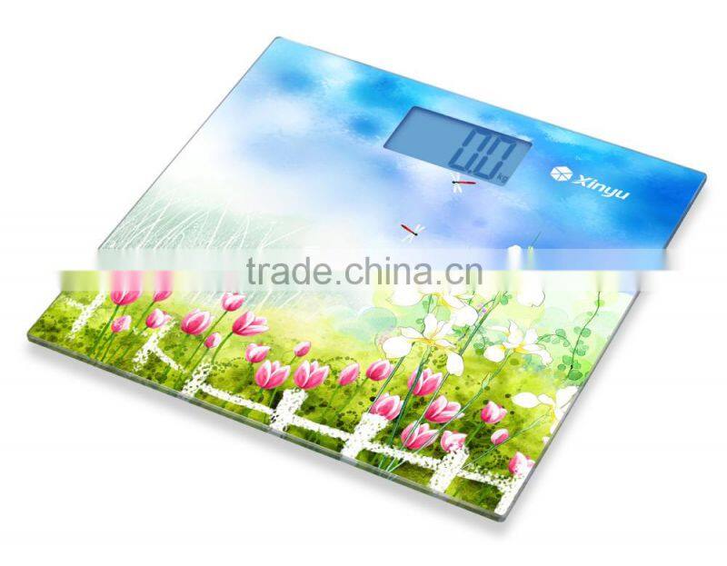 bath scale with big LCD display blue backlight and with 300X300mm glass platform