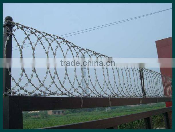 Razor barbed wire (golden factory)