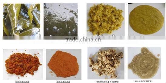 SFJ-W Chilli Wet Crusher/Seaweed Wet Crusher/Vegetables Wet Crusher/Fruit Wet Crusher