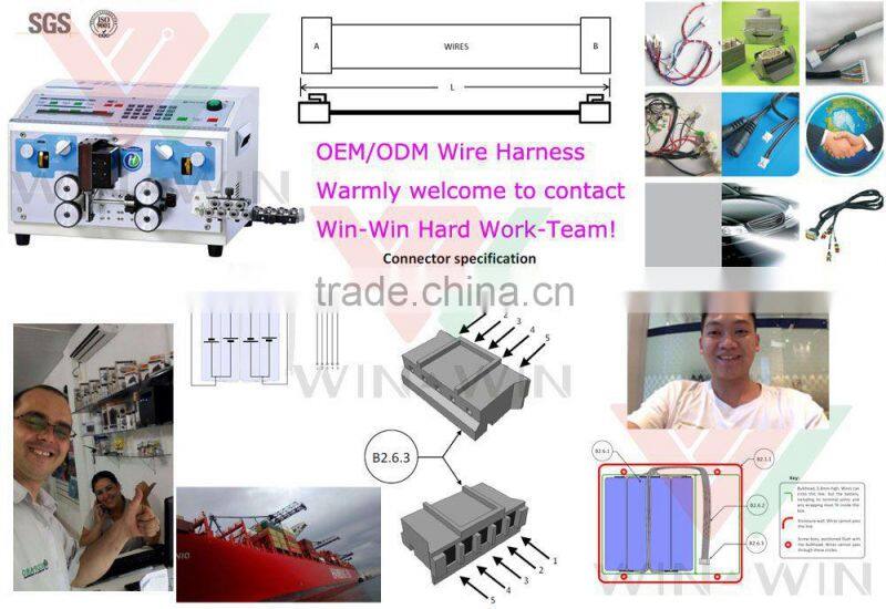 8625 JST Connectors' Wire Harness