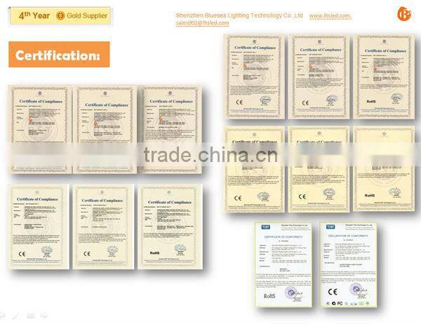 12W Ultra Bright LED Ceiling Panel Down Light Bulb Lamp (110V and 220V )