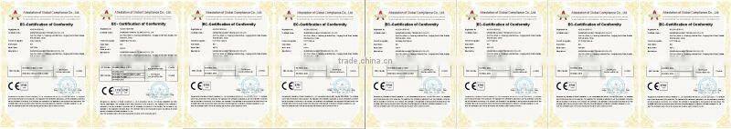 2.0 Megapixel Digital HD SDI Camera with vandalproof housing