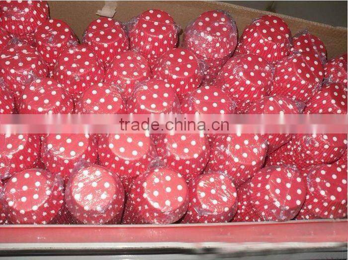 Red dots celebrate square Cupcake Liners Muffin cases