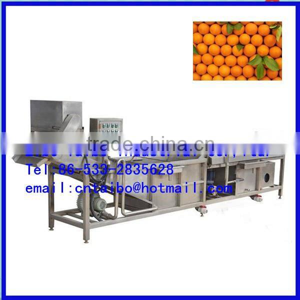 Automatic Industrial Orange Washing Machine Hot Sale