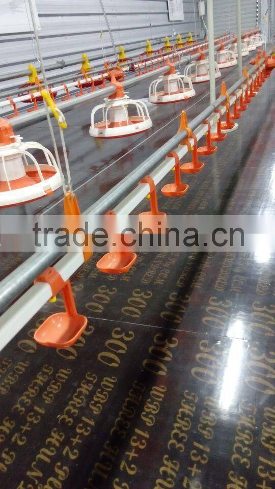 broiler ground raising equipment chicken house